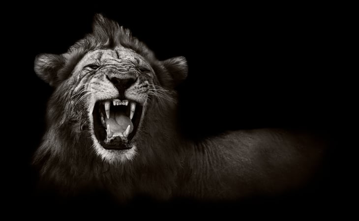Fotolia_55022954_M